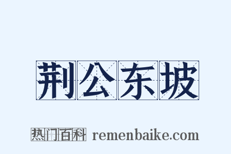 荆公东坡是什么意思的图片